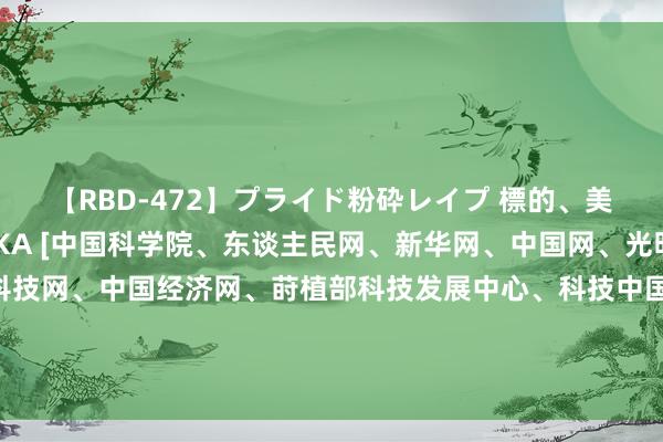 【RBD-472】プライド粉砕レイプ 標的、美脚パーツモデル ASUKA [中国科学院、东谈主民网、新华网、中国网、光明网、科学网、中国科技网、中国经济网、莳植部科技发展中心、科技中国、中国科技谍报网、中国创新网、中国科教传播网]全色闪现纳米材料全新态状彩色宇宙