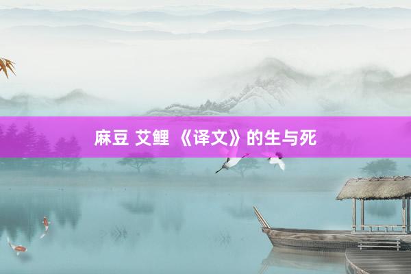麻豆 艾鲤 《译文》的生与死