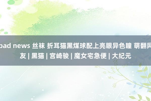 bad news 丝袜 折耳猫黑煤球配上亮眼异色瞳 萌翻网友 | 黑猫 | 宫崎骏 | 魔女宅急便 | 大纪元