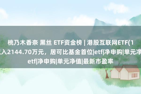桃乃木香奈 黑丝 ETF资金榜 | 港股互联网ETF(159568):净流入2144.70万元,居可比基金首位|etf|净申购|单元净值|最新市盈率