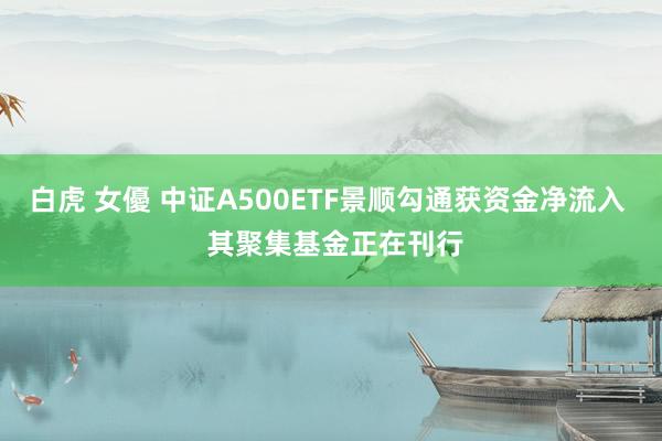 白虎 女優 中证A500ETF景顺勾通获资金净流入  其聚集基金正在刊行