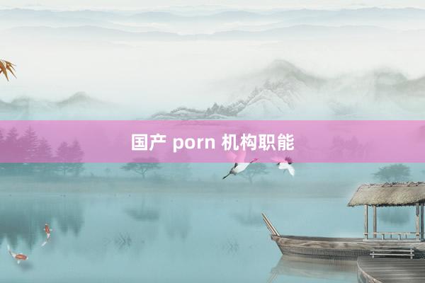 国产 porn 机构职能