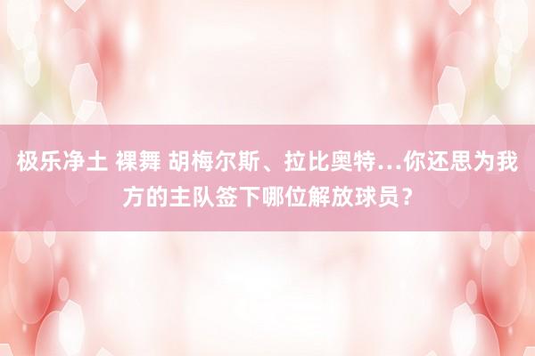 极乐净土 裸舞 胡梅尔斯、拉比奥特…你还思为我方的主队签下哪位解放球员？