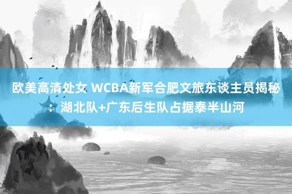 欧美高清处女 WCBA新军合肥文旅东谈主员揭秘：湖北队+广东后生队占据泰半山河