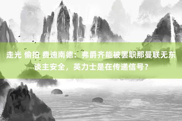 走光 偷拍 费迪南德：弗爵齐能被罢职那曼联无东谈主安全，英力士是在传递信号？